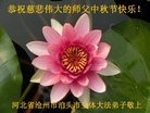 Published on 10/1/2017 ���ֹ�,��½�󷨵��ӹ�ףʦ�������(28��)