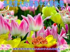 Published on 10/2/2017 ���ֹ�,��½�󷨵��ӹ�ףʦ�������(27��)