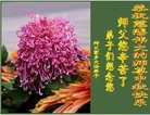 Published on 10/2/2017 ���ֹ�,��½�󷨵��ӹ�ףʦ�������(28��)