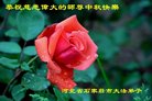 ֹ,ʯׯ󷨵ӹףʦ(22)