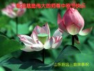 Published on 10/2/2017 ���ֹ�,��½�󷨵��ӹ�ףʦ�������(39��)
