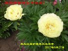 Published on 10/2/2017 ���ֹ�,��½�󷨵��ӹ�ףʦ�������(34��)