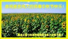 ֹ,󷨵ӹףʦ(18)