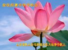 Published on 10/2/2017 ���ֹ�,��½�󷨵��ӹ�ףʦ�������(32��)