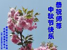 ֹ,ʯׯ󷨵ӹףʦ(22)