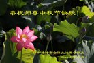 ֹ,ɹŴ󷨵ӹףʦ(16)