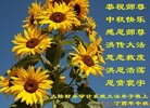 Published on 10/1/2017 ���ֹ�,��½30����ҵ�󷨵�������лʦ��