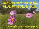 Published on 10/1/2017 ���ֹ�,��½30����ҵ�󷨵�������лʦ��