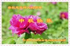 Published on 10/1/2017 ���ֹ�,��½30����ҵ�󷨵�������лʦ��