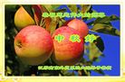 Published on 10/1/2017 ���ֹ�,��½30����ҵ�󷨵�������лʦ��