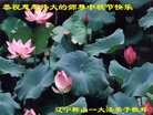 ֹ,󷨵ӹףʦ(22)