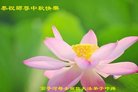 ֹ,󷨵ӹףʦ(19)