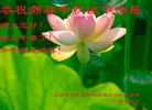 Published on 10/4/2017 ���ֹ�,��½�󷨵��ӹ�ףʦ�������(31��)