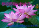 Published on 10/4/2017 ���ֹ�,��½�󷨵��ӹ�ףʦ�������(25��)