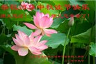 Published on 10/4/2017 ���ֹ�,��½�󷨵��ӹ�ףʦ�������(25��)
