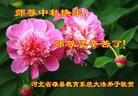 Published on 10/1/2017 ���ֹ�,��½30����ҵ�󷨵�������лʦ��