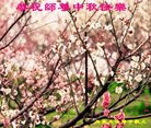 ֹ,󷨵ӹףʦ(22)
