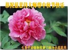 Published on 10/4/2017 ���ֹ�,��½�󷨵��ӹ�ףʦ�������(33��)