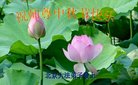 Published on 10/3/2017 ���ֹ�,��½�󷨵��ӹ�ףʦ�������(32��)