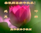 ֹ,ϴ󷨵ӹףʦ(19)