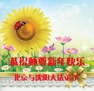 ֹ,󷨵ӹףʦ(21)