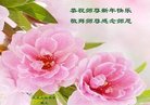 ֹ,󷨵ӹףʦ(20)