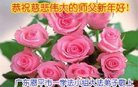 ֹ,㶫󷨵ӹףʦ(21)