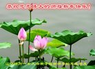 ֹ,ݴ󷨵ӹףʦ(21)
