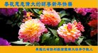 ֹ,󷨵ӹףʦ(18)
