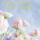 ֹ,ϴ󷨵ӹףʦ(22)