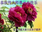 ֹ,Ϫ󷨵ӹףʦ(18)