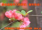 ֹ,ϴ󷨵ӹףʦ(19)