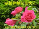 ֹ,󷨵ӹףʦ(22)