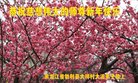 ֹ,󷨵ӹףʦ(19)