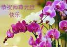 ֹ,󷨵ӹףʦ(20)