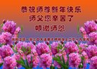 ֹ,ݴ󷨵ӹףʦ(21)