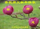 ֹ,ݴ󷨵ӹףʦ(23)