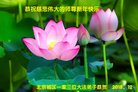 ֹ,󷨵ӹףʦ(24)