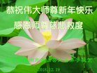 ֹ,ݴ󷨵ӹףʦ(21)