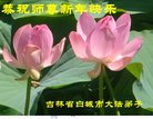 ֹ,ʡ󷨵ӹףʦ(19)