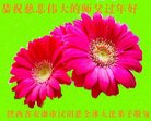 ֹ,󷨵ӹףʦ(24)