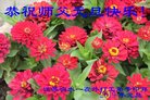 ֹ,մ󷨵ӹףʦ(20)