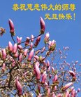 ֹ,󷨵ӹףʦ(22)