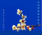 ֹ,󷨵ӹףʦ(25)