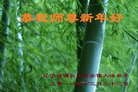 ֹ,󷨵ӹףʦ(19)