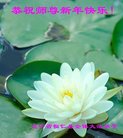 ֹ,Ϫ󷨵ӹףʦ(21)