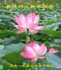 ֹ,ϴ󷨵ӹףʦ(24)