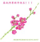 ֹ,󷨵ӹףʦ(20)