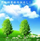 ֹ,󷨵ӹףʦ(20)
