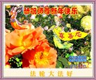 ֹ,󷨵ӹףʦ(22)